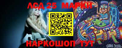 скорость Бердск