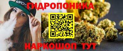 скорость Бердск
