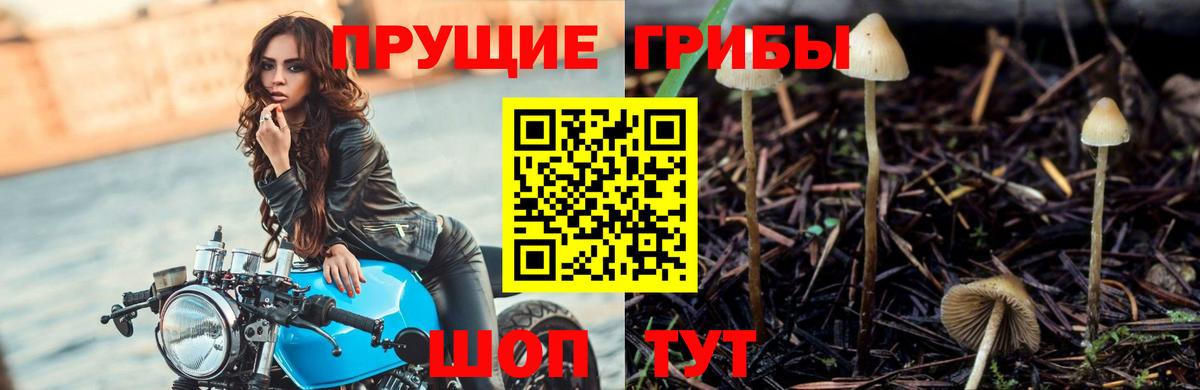 Галлюциногенные грибы MAGIC MUSHROOMS Горячий Ключ