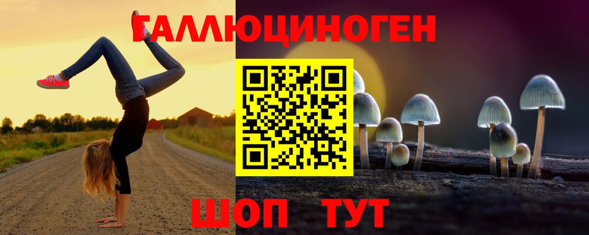 Псилоцибиновые грибы Psilocybe  Вход с VPN  купить закладку  Галлюциногенные грибы Cubensis  Горячий Ключ 